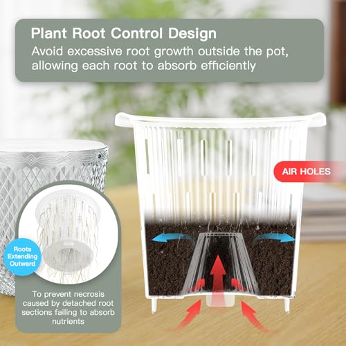 QCQHDU 2 Pack Self Watering Pots, 5.7 Inch, with Drainage Holes, Clear - color: Clear, size: 5.7in