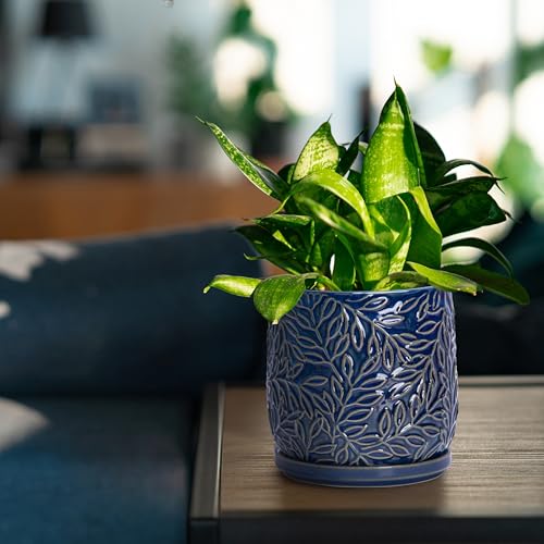 D'vine Dev Embossed Leaves Ceramic Planter, 5 in, Midnight Blue, 27-A-V-3 - color: Midnight Blue, size: 5 Inch