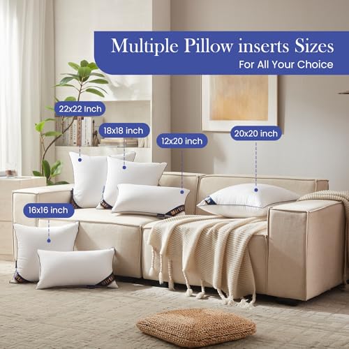 Mirtala 24"x24" Pillow Inserts Set of 2 with 100% Cotton Cover Decorative Square Throw 24" Pillows Living Room, Sofa, Couch, and Bed-White (2, 24 x 24 Inch) - size: 24 x 24 Inch