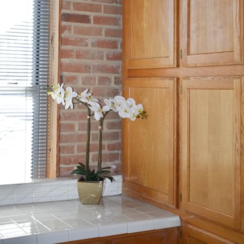 Nature's Elements Tabletop Artificial Orchid Flower (Soft Gold) - color: Soft Gold