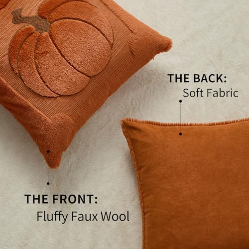 Allorry Fall Pillow Covers 18x18 2 Pack Rust Plush Pumpkin Home Decor 010F - color: Rust Pumpkin, size: 18" x 18" (Pack of 2)