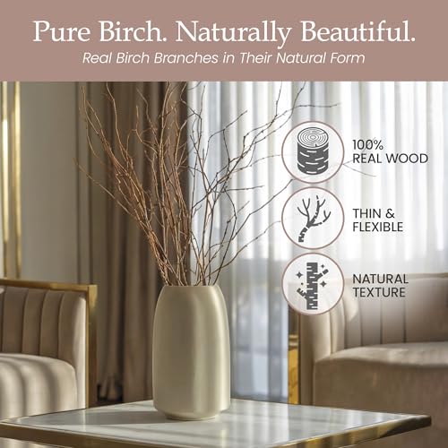 Branches for Vase, 3'–4' Natural Birch Tree Branches for Decoration, Bundle of 10 Tall Decorative Sticks for Vases, Rustic Wood Branches for Crafts, Weddings, Seasonal Home Décor - Natural - color: Natural