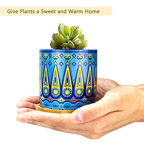 Mandala Succulent Pot with Drainage Hole & Bamboo Coaster, Small Plant Pots, Bohemian Ceramic Succulent Planter Pot for Small Plant-6 Pack - color: A Style