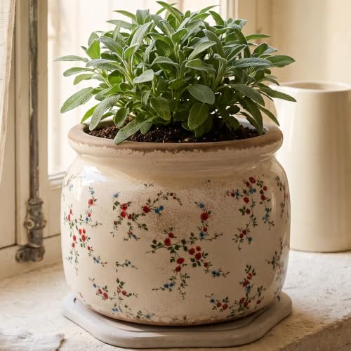 Cottage Core Ceramic Plant Pot with Decorative Saucer, Plant Lover Gifts - color: Tiny Red, size: 7.7 in - w/ Saucer