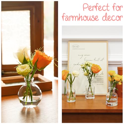 Bud Vases Set of 12, Clear Glass Bud Vase in Bulk, Small Vases - color: Clear Set of 12