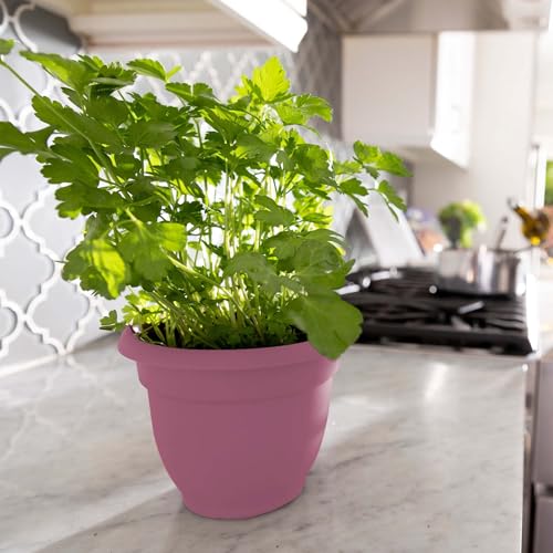 Bloem Ariana 8" Plastic Self-Watering Planter, Dusty Rose, 4-Pack - color: Dusty Rose, size: 8" (Pack of 4)