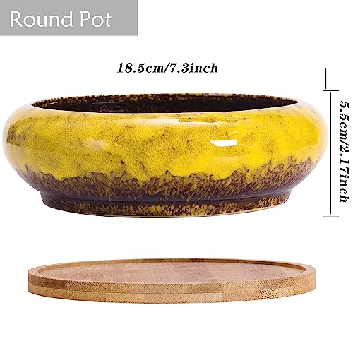 Succulent Pots, 1 Rectangle Planter + 1 Ceramic Bonsai Pots with Drain Tray - color: Yellow