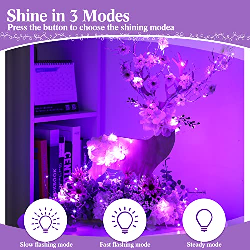 Hortsun 100 Pack Battery Operated Fairy Lights 7 ft 20 LED, Purple - color: Purple Light