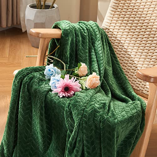 Inhand Fleece Throw Blanket, Super Soft Flannel Cozy for Adults, Washable Lightweight for Couch, Sofa, Bed, Office, Warm Plush for All Season, Green, 50"×60" - color: A-green, size: Throw/Travel-50x60 IN