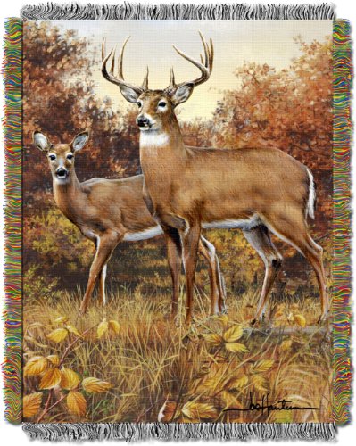 Northwest Hautman Brothers Wildlife Art Woven Tapestry Throw Blanket, 48" x 60", Royal Pair - color: Royal Pair