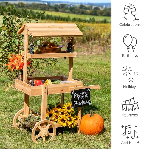 Sunnydaze Flower Cart Display Stand with Wheels, Fir Wood, 49” H, Natural - color: Natural