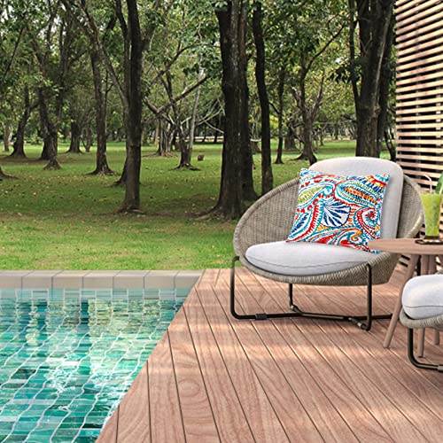 JMGBird Outdoor Throw Pillows Decorative Outdoor Accent Pillows with Insert - color: Paisley Print