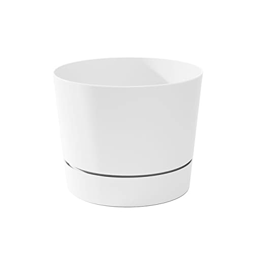 Root & Vessel Majestic Mid-Century Modern Low Profile Cylinder Pot, Matte White, 12.5" - color: Matte White, size: 12.5-Inch