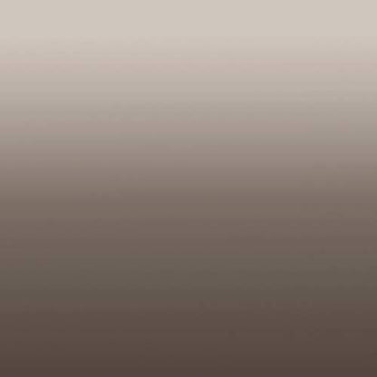 DWCN Brown Ombre Sheer Curtains 54 Inches Long for Living Room 2 Panels Set - color: Chocolate Brown, size: 42"W x 54"L (Pack of 2)