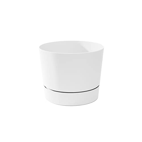 Root & Vessel Majestic Mid-Century Modern Low Profile Cylinder Pot, Matte White, 8.5" - color: Matte White, size: 8.5-Inch
