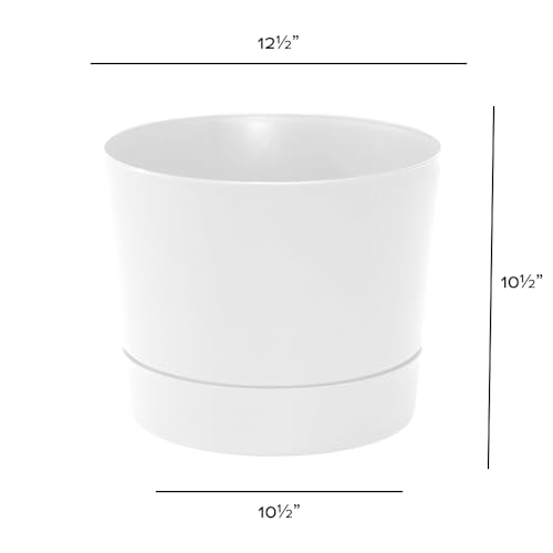 Root & Vessel Majestic Mid-Century Modern Low Profile Cylinder Pot, Matte White, 12.5" - color: Matte White, size: 12.5-Inch