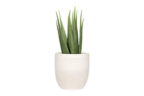 Creative Co-Op Large Matte White Embossed Stoneware Planter - color: Matte White