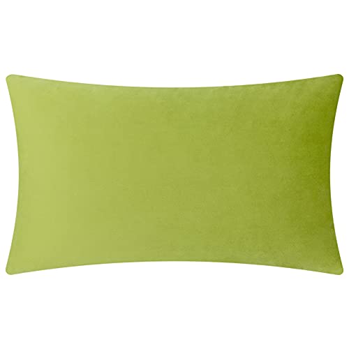 KINGROSE Velvet 3D Flower Lumbar Throw Pillow Cover, Green, 12 x 20 Inches - color: Green - Velvet