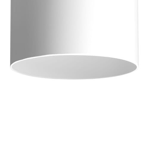 Progress Lighting 5-Inch Cylinder Outdoor Flush Mount Ceiling Light, White - color: White