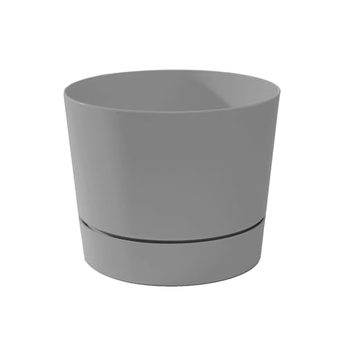 Root & Vessel Majestic Mid-Century Modern Low Profile Cylinder Pot, Matte Gray, 6.5" - color: Matte Gray, size: 6.5-Inch