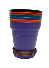 Mintra Garden Pots, 6 Pack Bulk Plastic Plant Pots with Drainage Tray, Round Indoor & Outdoor Decorative Planters with Drain Holes for Flowers, Herbs & Plants, 13cm Diameter – Assorted, 5 in - color: Assorted 6pk, size: 13cm Diameter (5in)