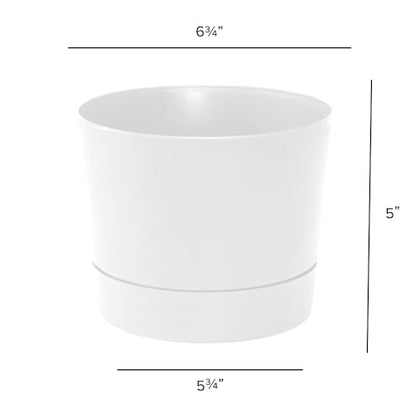 Root & Vessel Majestic Mid-Century Modern Low Profile Cylinder Pot, Matte White, 6.5" - color: Matte White, size: 6.5-Inch