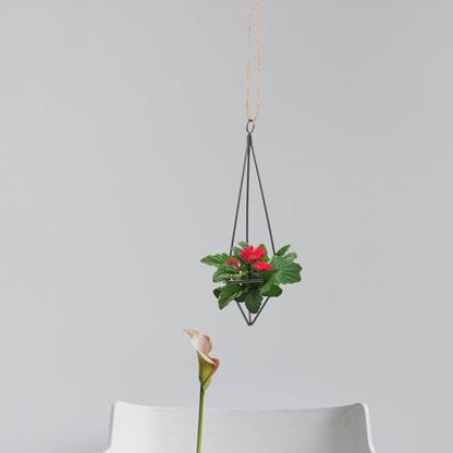 UPKOCH Geometric Air Plant Hangers 8 Pcs Black Metal Hanging Holders with Jute Rope for Small Air Plants Indoor Garden Wall Decor