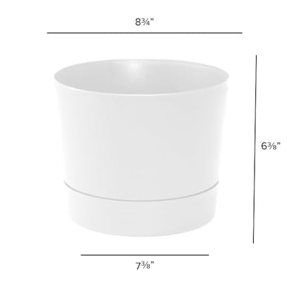 Root & Vessel Majestic Mid-Century Modern Low Profile Cylinder Pot, Matte White, 8.5" - color: Matte White, size: 8.5-Inch