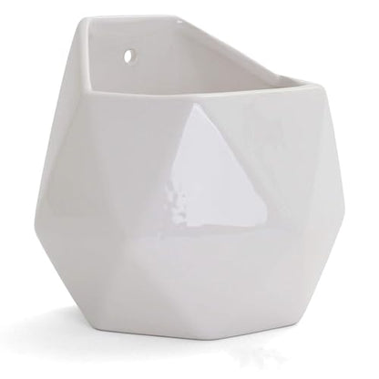 Succulent Wall Planters - Wall Vases - White Ceramic Wall Mounted Planters - Succulent Plant Pots - Hanging Vases for Living Wall (2 Pack/Geometric/White) - color: Geometric (White)