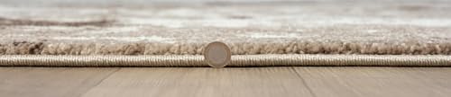 Keen Home Design Abstract Non-Shedding Runner Rug, Soft Thick Pile, 2x10 - color: Skies Beige, size: 2'8" x 9'11" (Runner)