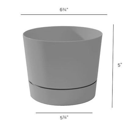 Root & Vessel Majestic Mid-Century Modern Low Profile Cylinder Pot, Matte Gray, 6.5" - color: Matte Gray, size: 6.5-Inch