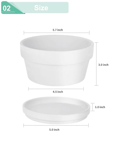 vensovo 5.7 Inch White Terracotta Succulent Pots with Saucers, 6 Pack - color: White, size: 5.7 Inch
