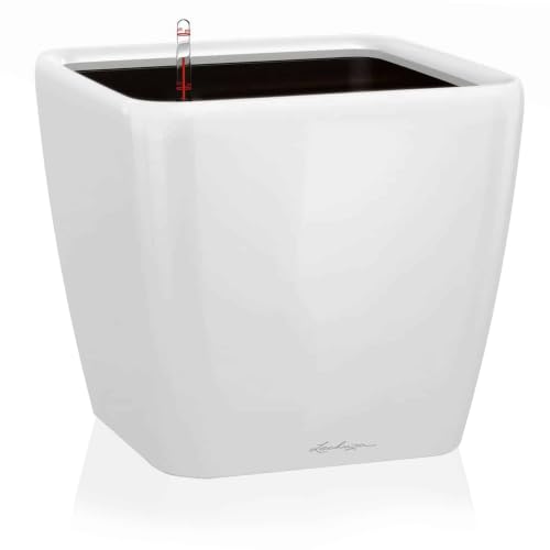 LECHUZA 16120 Quadro LS 21 Self-Watering Planter, Cream White High Gloss | H7.9 x L8.3 x W8.3 in; self-watering, water level indicator; indoor and outdoor; UV and frost resistant - color: High Gloss White, size: H20 L21 W21 cm
