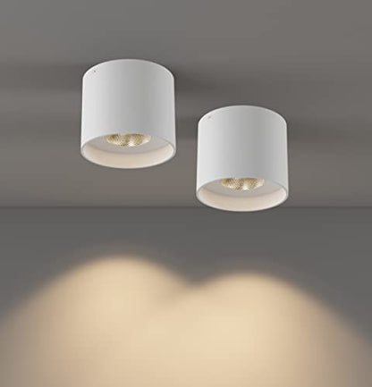 Ceiling Light Fixture, Flush Mount Ceiling Lights LED Dimmable Cylinder Ceiling Light Spot Light for Living Room Hallway Kitchen Dining Room Foyer 3000K 14.5W (White) 2-Pack - color: White 2pack