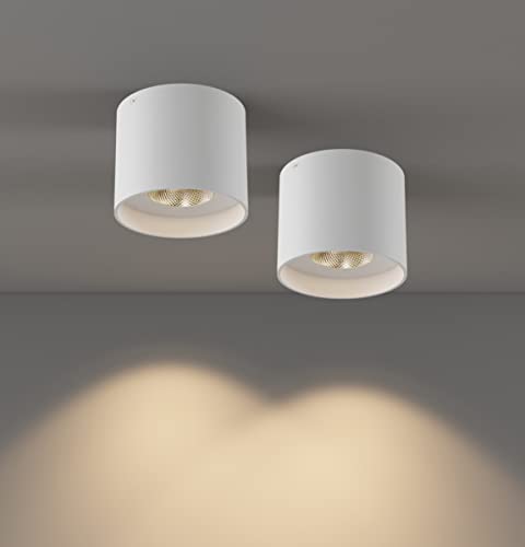 Ceiling Light Fixture, Flush Mount Ceiling Lights LED Dimmable Cylinder Ceiling Light Spot Light for Living Room Hallway Kitchen Dining Room Foyer 3000K 14.5W (White) 2-Pack - color: White 2pack