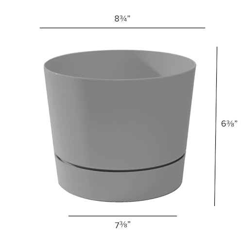Root & Vessel Majestic Mid-Century Modern Low Profile Cylinder Pot, Matte Gray, 8.5" - color: Matte Gray, size: 8.5-Inch