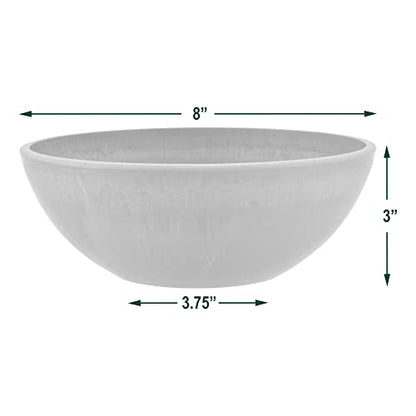 PSW Pot Collection Shallow Garden Bowl Planter for Succulents, Bonsai, Fairy Gardens, Herbs, 8-inch, Chocolate (Pack of 2) - color: Chocolate, size: 8 Inch (Pack of 2)