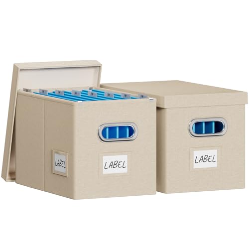 FHSQX 2Pack File Box with Lid, Beige, 14 x 9.3 x 10.9 in - color: Beige, size: 14 x 9.3 x 10.9 in (2Pack)