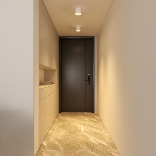 Ceiling Light Fixture, Flush Mount Ceiling Lights LED Dimmable Cylinder Ceiling Light Spot Light for Living Room Hallway Kitchen Dining Room Foyer 3000K 14.5W (White) - color: White 1pack