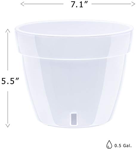 Gardenera 7.1" ASTI Self Watering Planter in Menthol/White - Modern Flower Pot with Water Level Indicator for All House Plants, Flowers, Herbs, Succulents and Hanging Plants - color: Menthol/White, size: 7.1 Inch
