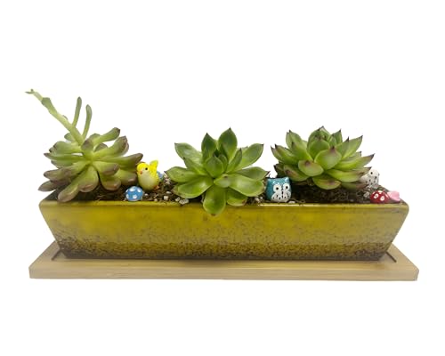 9.8inch yellow long rectangle Ceramic Succulent Planter Pot,one set of Mini Flower Plant Container with Bamboo Saucers. Product size:9.8 x2.35x1.77 inch,not include the plant. (Yellow) - color: Yellow