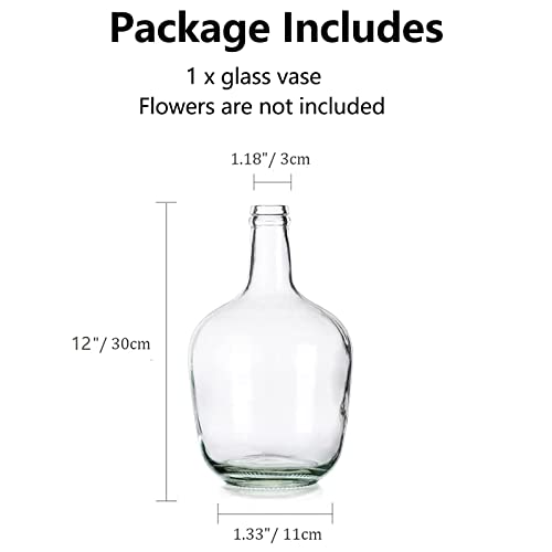 Hewory Large Glass Jug Vase: 12" Clear Tall Farmhouse Decorative Floor Vase - size: 12in