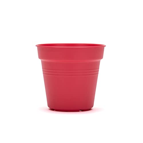 Mintra Garden Pots, 4 Pack Bulk Plastic Plant Pots with Drainage Tray, Round Indoor & Outdoor Decorative Planters with Drain Holes for Flowers, Herbs & Plants, 11cm Diameter – Coral, 4.3 in - color: Coral, size: 11cm Diameter (4.3in)