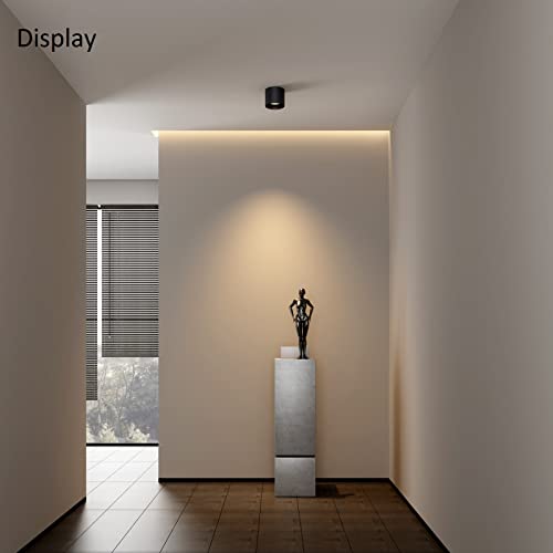 Ceiling Light Fixture, Flush Mount Ceiling Lights LED Dimmable Cylinder Ceiling Light Spot Light for Living Room Hallway Kitchen Dining Room Foyer 3000K 14.5W (Black) 2-Pack - color: Black 2pack