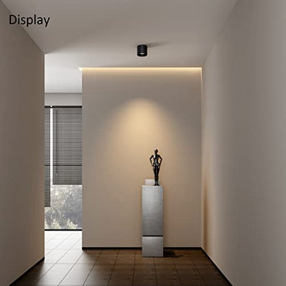 Ceiling Light Fixture, Flush Mount Ceiling Lights LED Dimmable Cylinder Ceiling Light Spot Light for Living Room Hallway Kitchen Dining Room Foyer 3000K 14.5W (Black) 2-Pack - color: Black 2pack