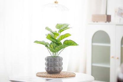 Ceramic Planter Pot with Drainage Hole, 4.5 Inch Dia, Indoor and Outdoor, Home Patio Garden, Plants Flower Succulent, 3D Patterned Round (Gray) - style: 3D Round-Gray