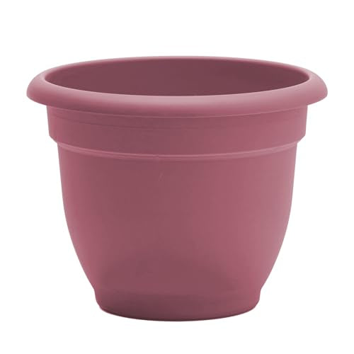 Bloem Ariana 12" Plastic Self-Watering Planter, Dusty Rose, 2-Pack - color: Dusty Rose, size: 12" (Pack of 2)
