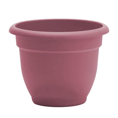 Bloem Ariana 12" Plastic Self-Watering Planter, Dusty Rose, 2-Pack - color: Dusty Rose, size: 12" (Pack of 2)