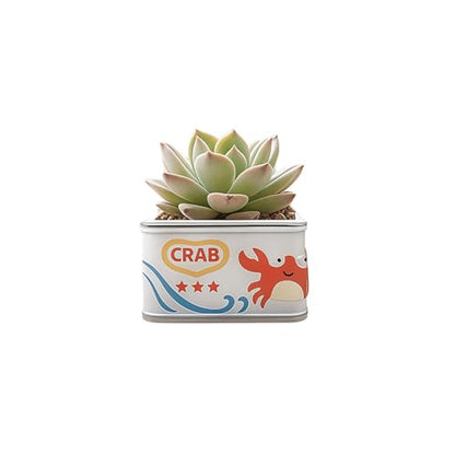 Cloud-Shaped Small Succulent Planters, 3.4''Dog Cute Plant Pots with Drainage Holes Funny Mini Resin Flower Pots for Indoor Outdoor Home Office Gifts (Mini D) - style: Mini D