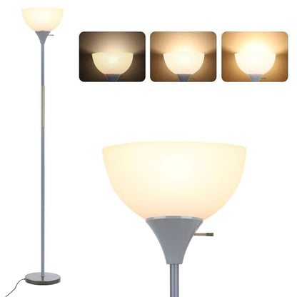 LALISU Floor Lamp, LED Standing Lamp 3 Way Dimmable Brightness Floor Lamp - color: Gray